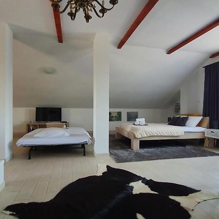 Villa Mons Aureus Baranyabán Kültér fotó