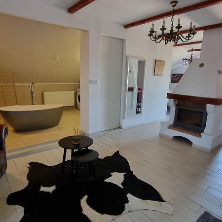 Villa Mons Aureus Baranyabán Kültér fotó