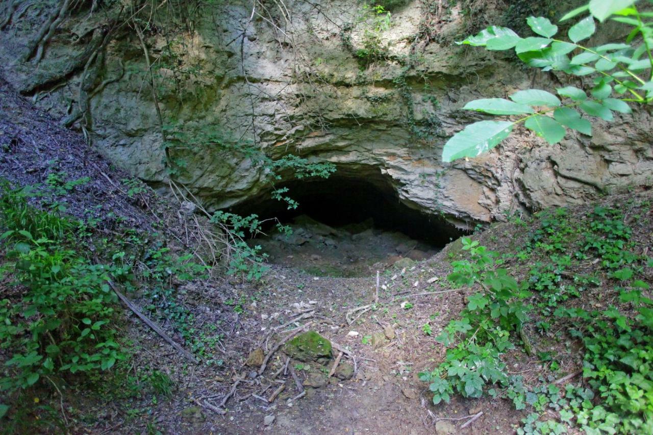 Villa Mons Aureus Baranyabán Kültér fotó