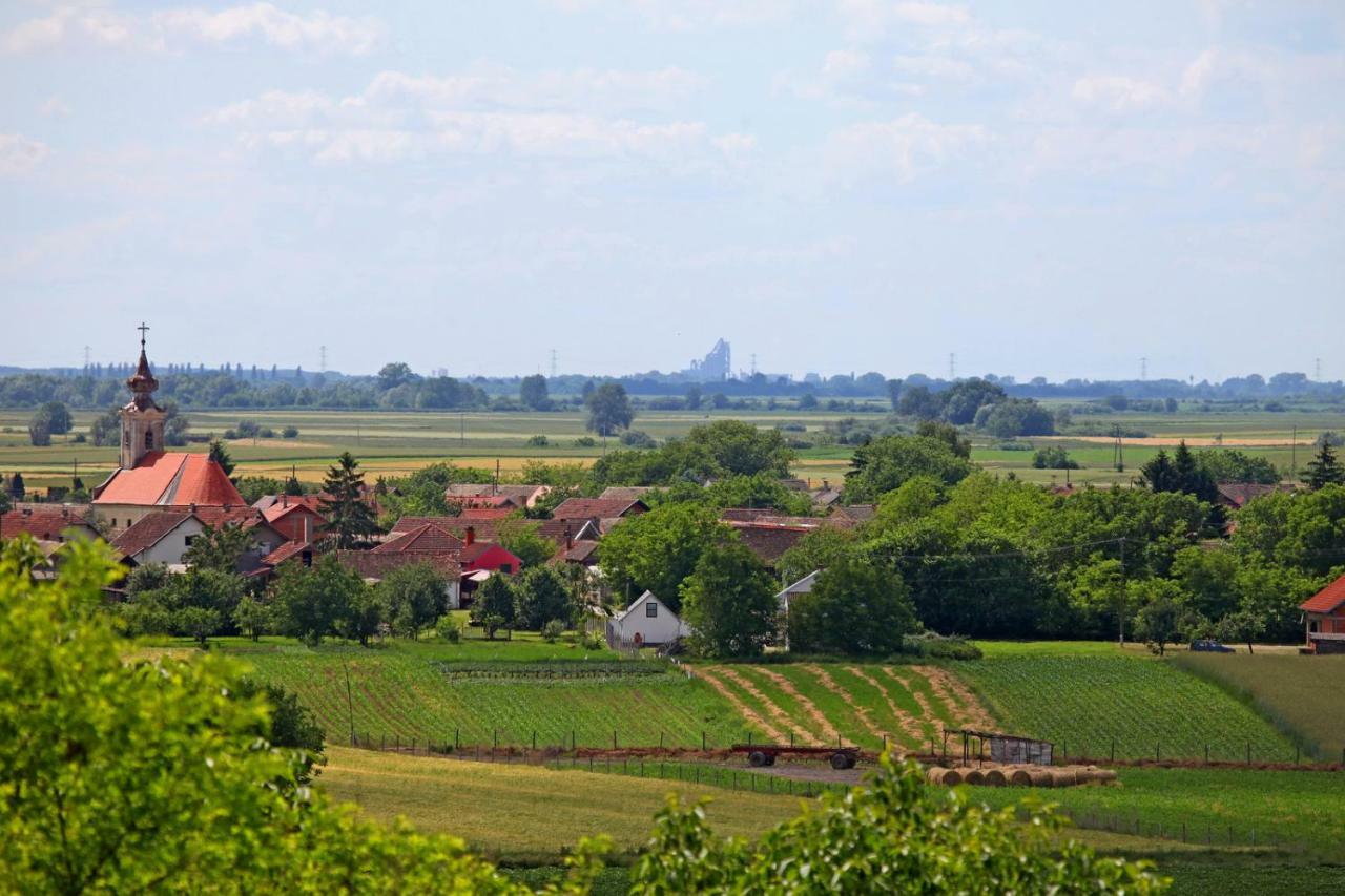 Villa Mons Aureus Baranyabán Kültér fotó