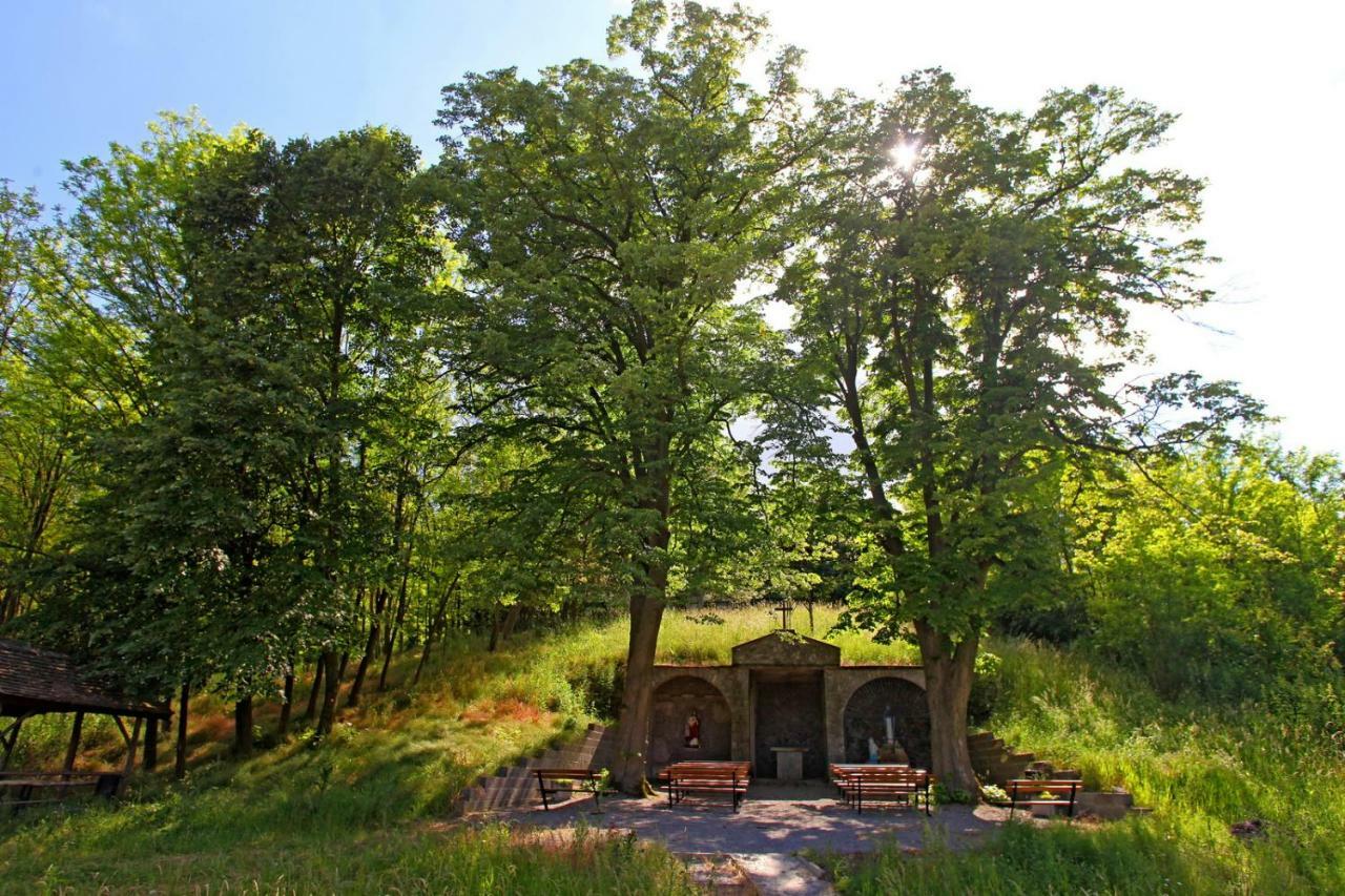 Villa Mons Aureus Baranyabán Kültér fotó